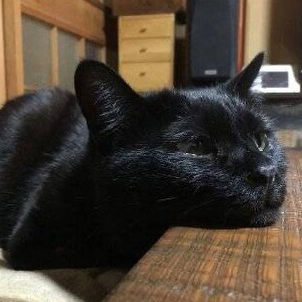 794737ff ae69 48a7 9d4b 2f0d6a3d9056 1764074495229