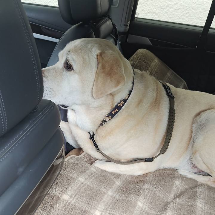 7947caaa 5894 4117 b4f2 6d565a62ee01 1762338349741