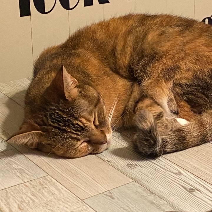 7947e261 6c44 40d9 a471 ef1abfdf11a0 1585334095198