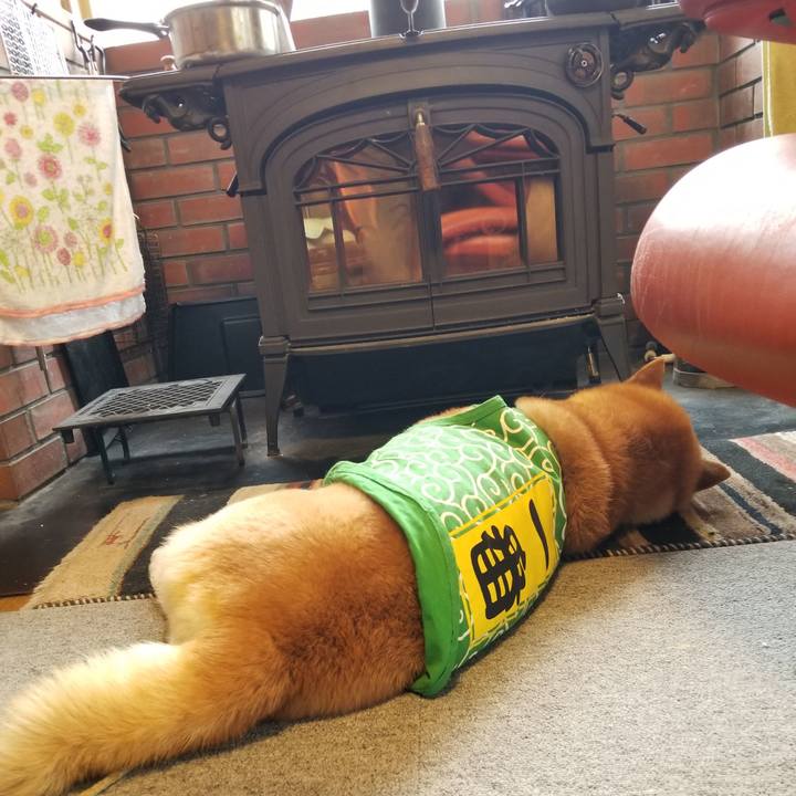 7947eab8 c298 4b96 b8ea 005e5513dad1 1585522836978