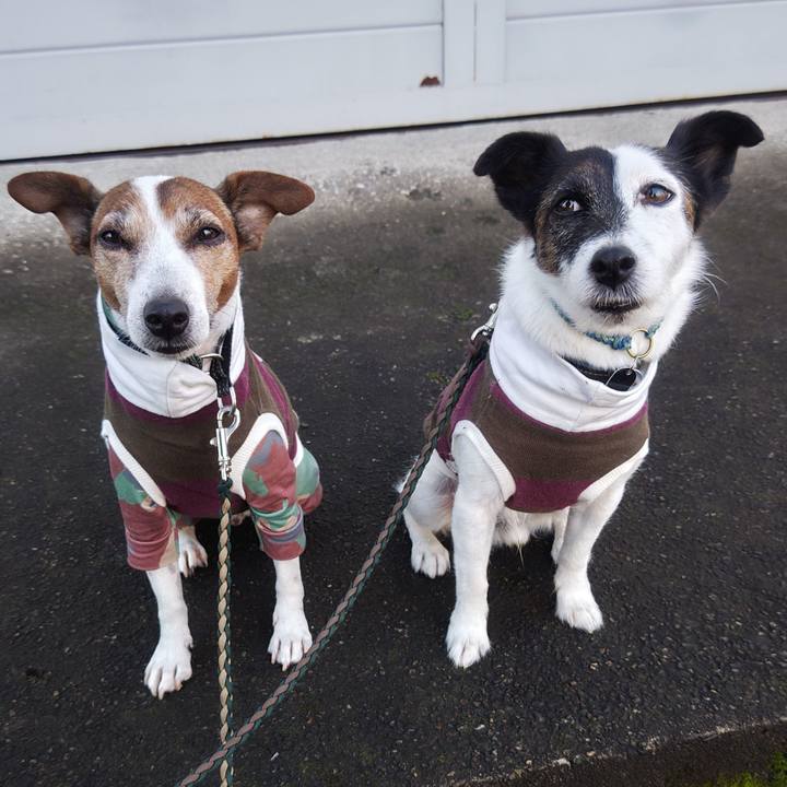 7947fc84 38cd 4d6b 8511 0f95a4a2e1e8 1761515818315