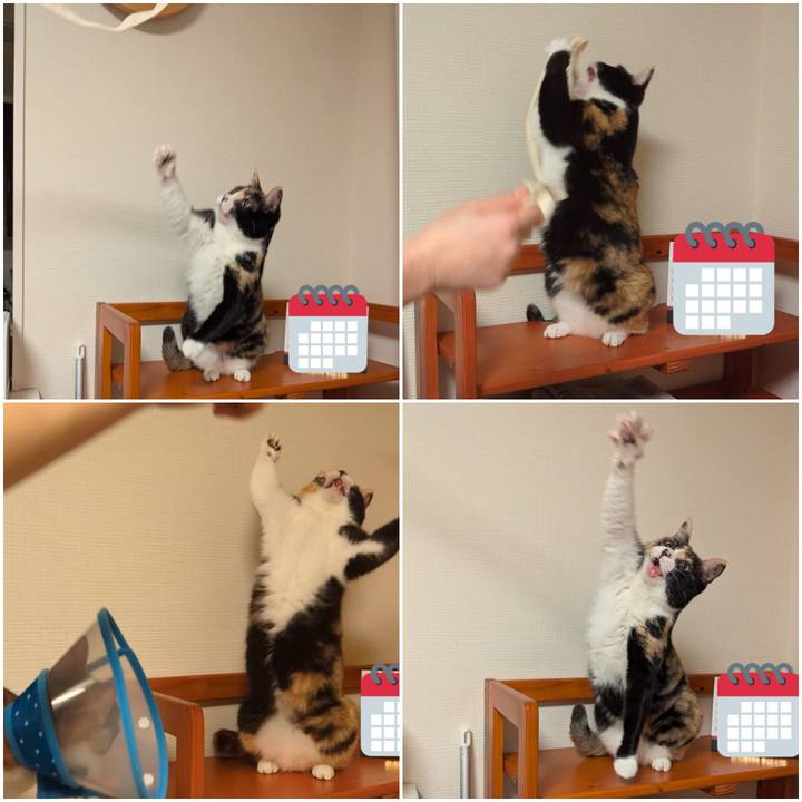 79480ac8 325a 4615 8fae cc23d70dfbce 1739526754337