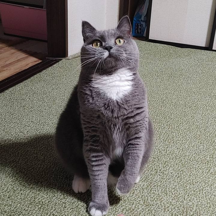 794819b4 1896 461b 8fe8 2cc30a9c3462 1631952135831