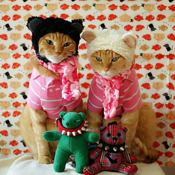 79484550 f575 41c9 9efa 459d1562b2d6 1514352633942