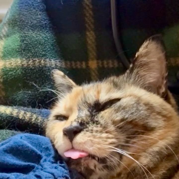 79484978 e080 4b48 b7cd b3707a3415a0 1774442099414