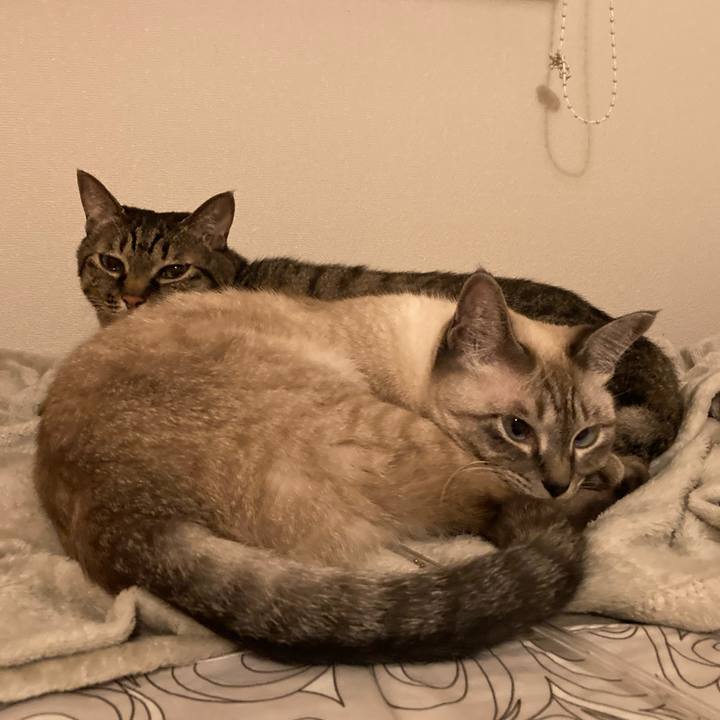 79486b8c b825 4a4c 9d9e e8a170d49370 1634201354565