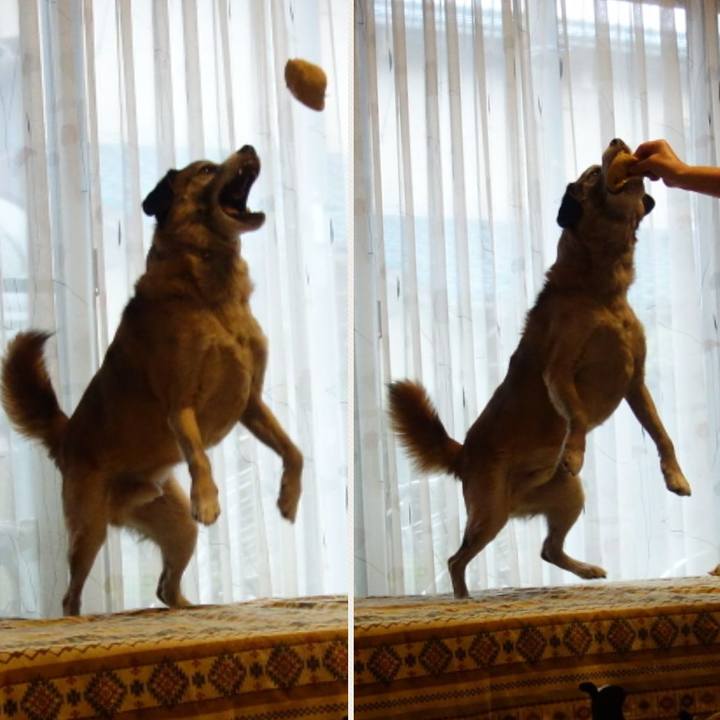 79489a0d 4f8c 482e b26f 180a85c8c2cb 1538271069610