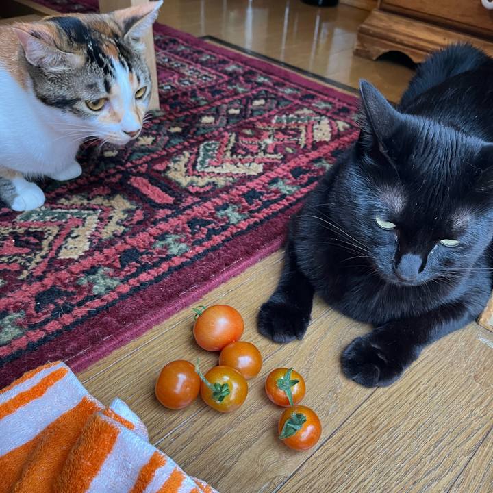 79491a5b 06a9 4987 810f 45e537ba1ee2 1661462864870