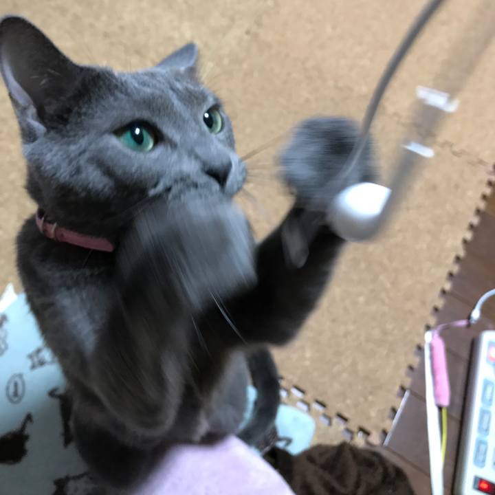 794926f0 e807 45dd b0dd fa5caf3cd851 1511258159945