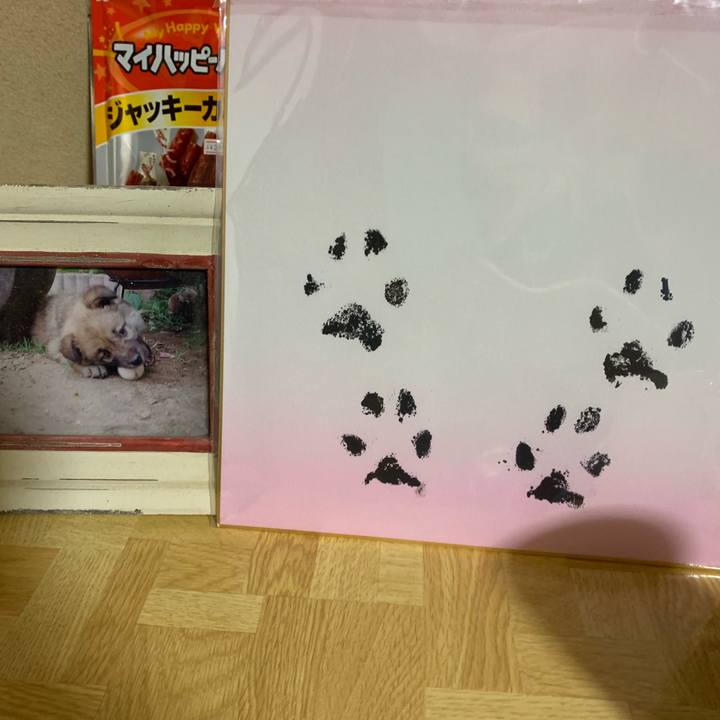 794937f6 4cdd 4c7c 8fc0 65322677055a 1561663810494