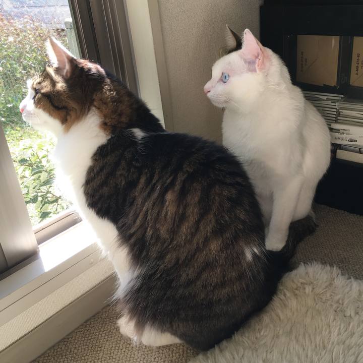 79495e42 dc27 4ede 916c 6736f3a20d4c 1510707075055