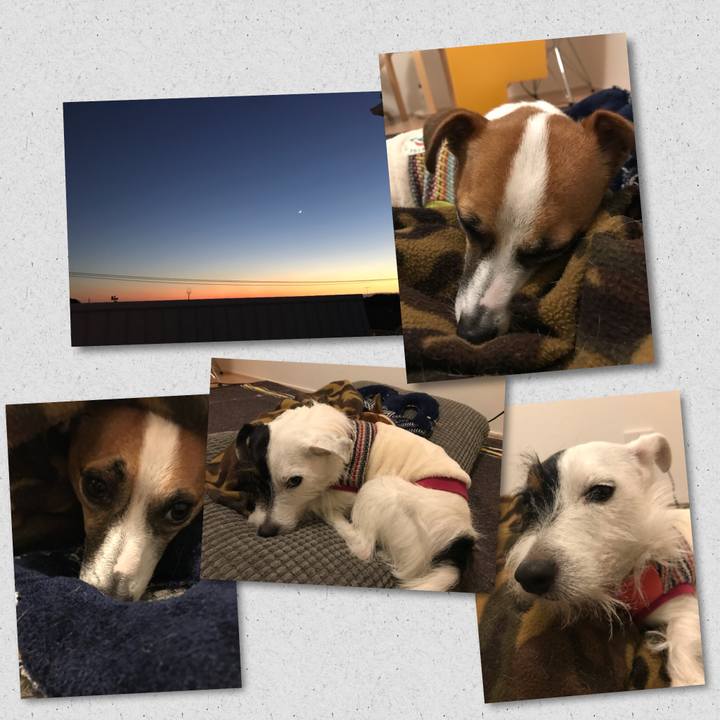 794981a9 60a8 4a41 8bb0 2c1bd4b935e5 1511272288092