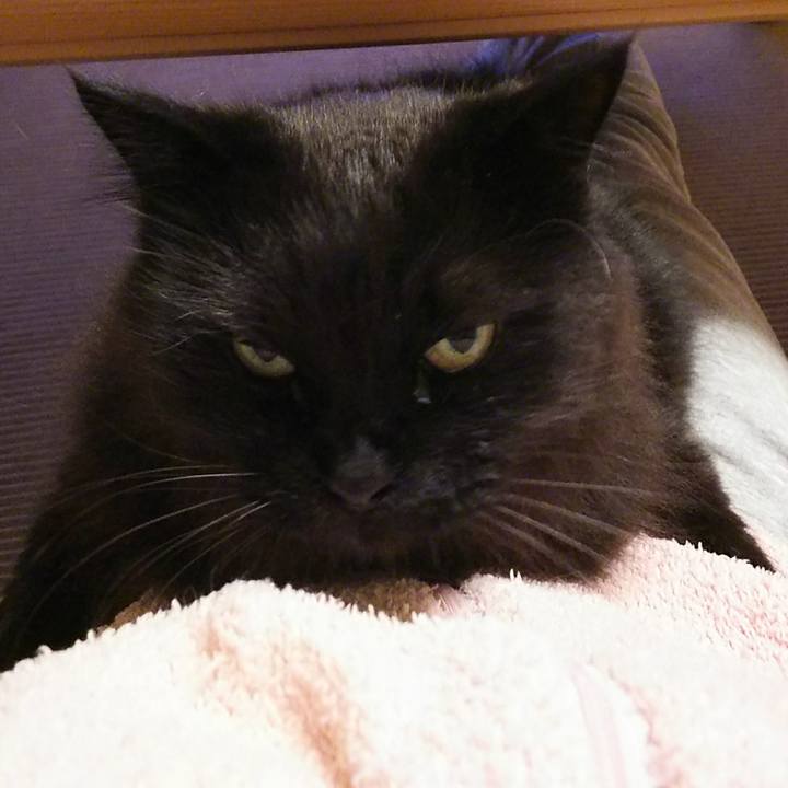 7949b6b7 6c8c 4ef7 b3a0 33f44f89a51d 1529067063395