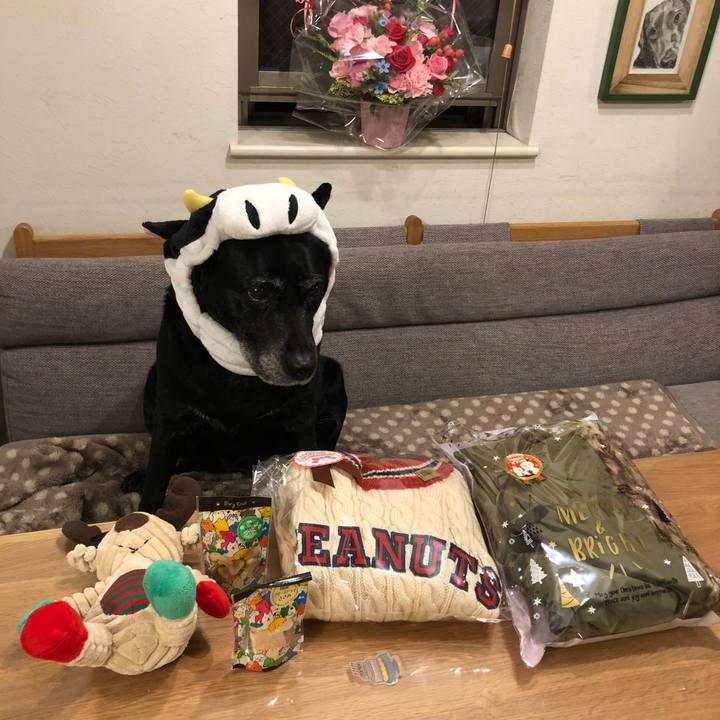 794a0002 3d70 4873 a390 f2235127d666 1606487382453