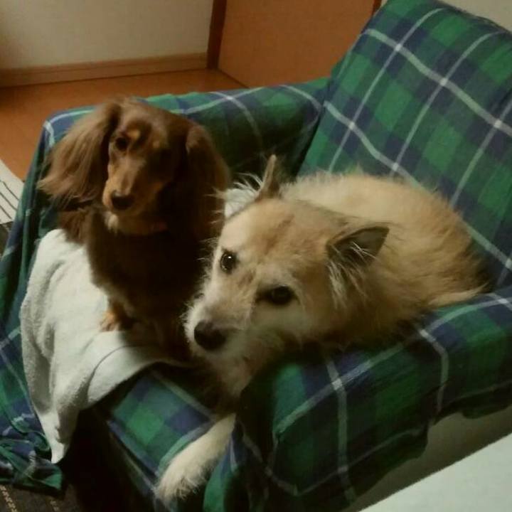 794a25a2 f00e 4c65 97e6 f7e971f5e894 1515683644737