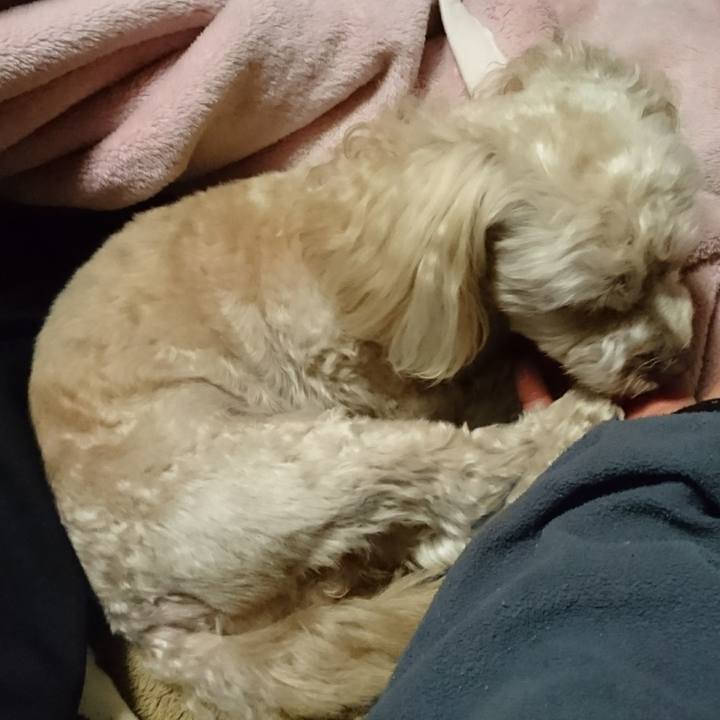 794a2e13 cecc 43f9 919e c2822d89b57d 1513248863505