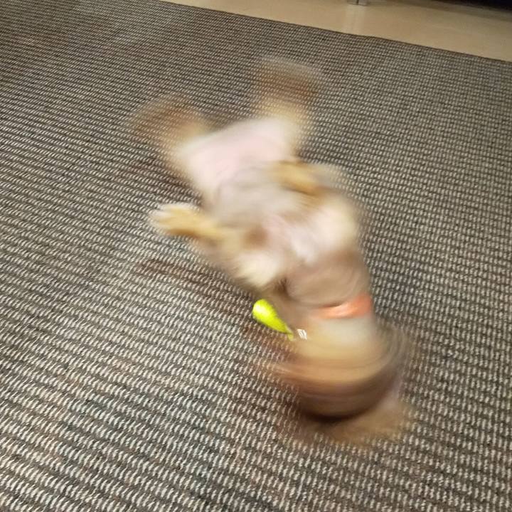 794a2e2d 737c 4793 99ea 215db1431006 1570350685971