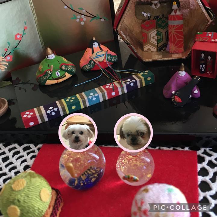 794a4f34 e8c6 433b 838a cc44a5f8625d 1646283797542