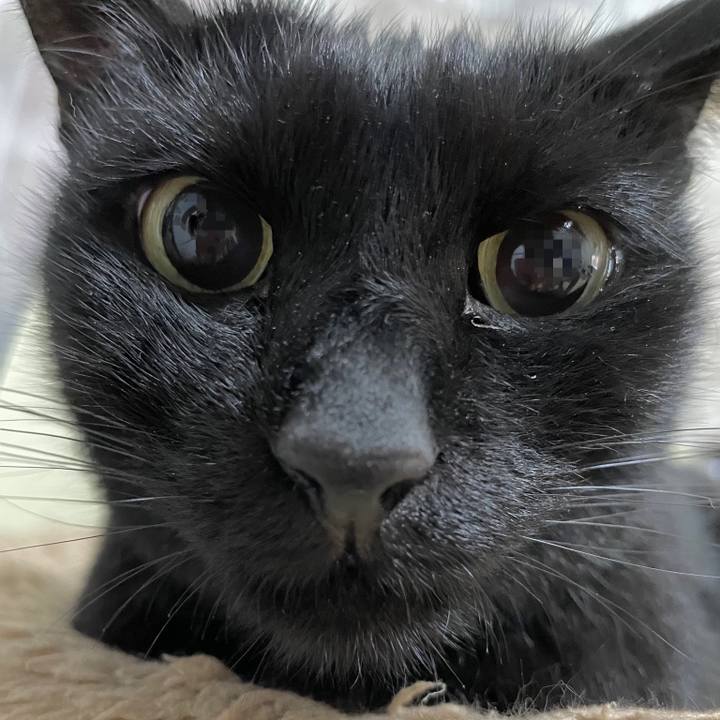 794a577c 3ded 4324 b684 dbbba6f980ca 1665759105841