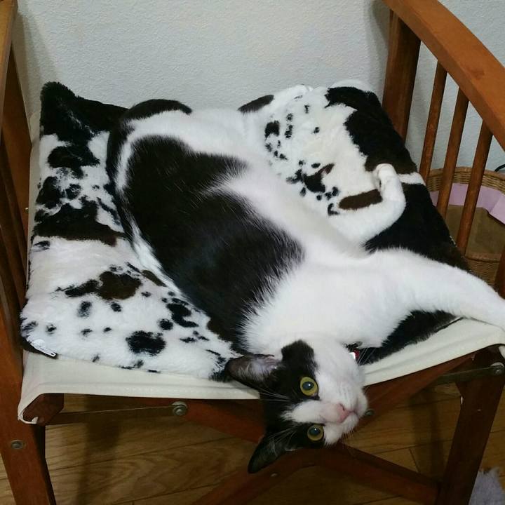 794a7dee 47ad 4df3 8478 befb78802ab2 1514509485937