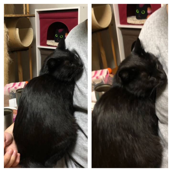 794ab4b0 9205 4488 93b6 cb2135d72e99 1588301908636