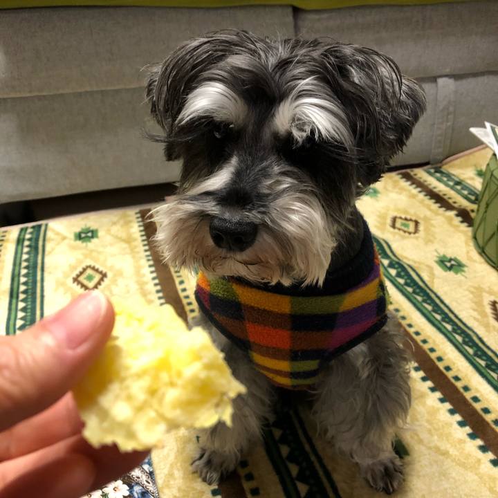 794abcd8 c647 44e0 9c02 869a60a14ccc 1639186173326