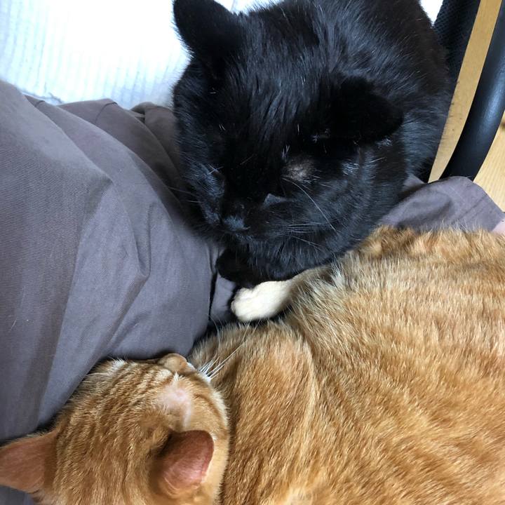 794ad05e f6d8 4fdf b89b 92ff5bedcada 1641217178436