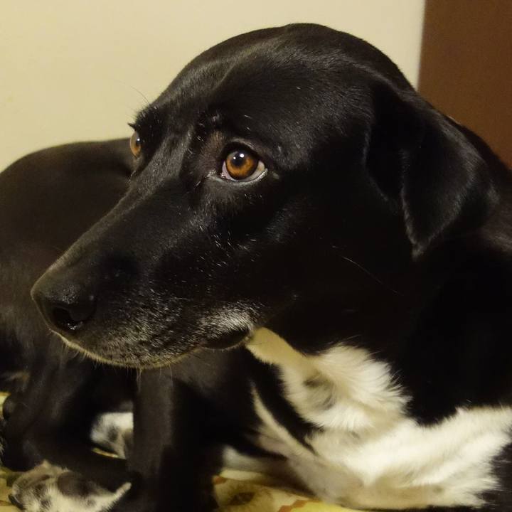 794b13d8 6522 4c54 9fee 497bfcd8e695 1670201272589