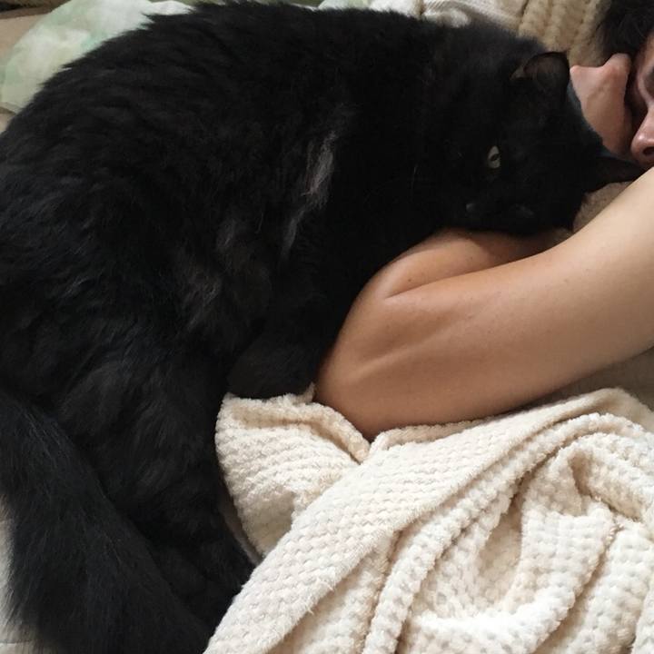 794b6e7e a34f 40d0 b818 21b069cd4dc1 1535697029855