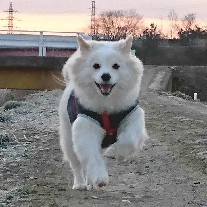 794bc095 cb38 4b52 8b61 c8148e2cfaa0 1521335264513