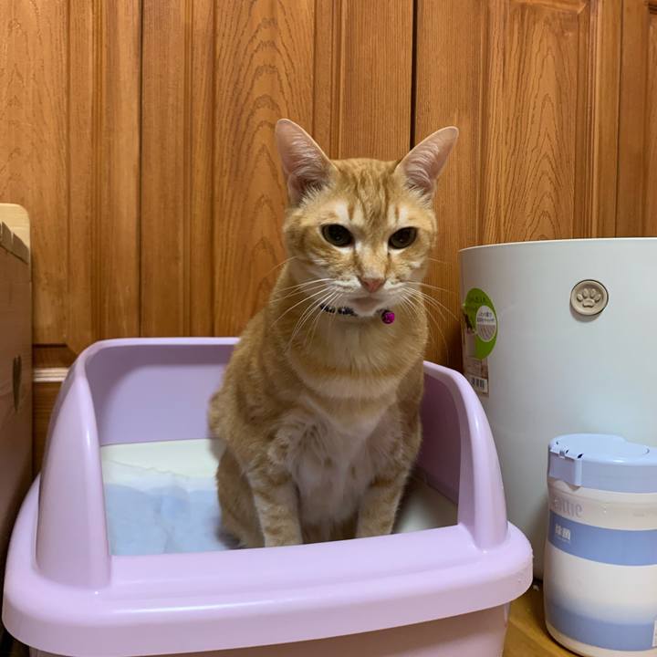 794bc999 79fd 4046 90a7 7b595aa9b06b 1590816451179