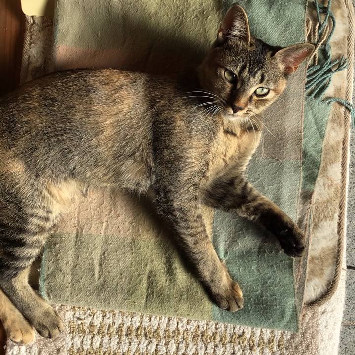 794bfddb c225 48be 897b 72d816602604 1576123169188