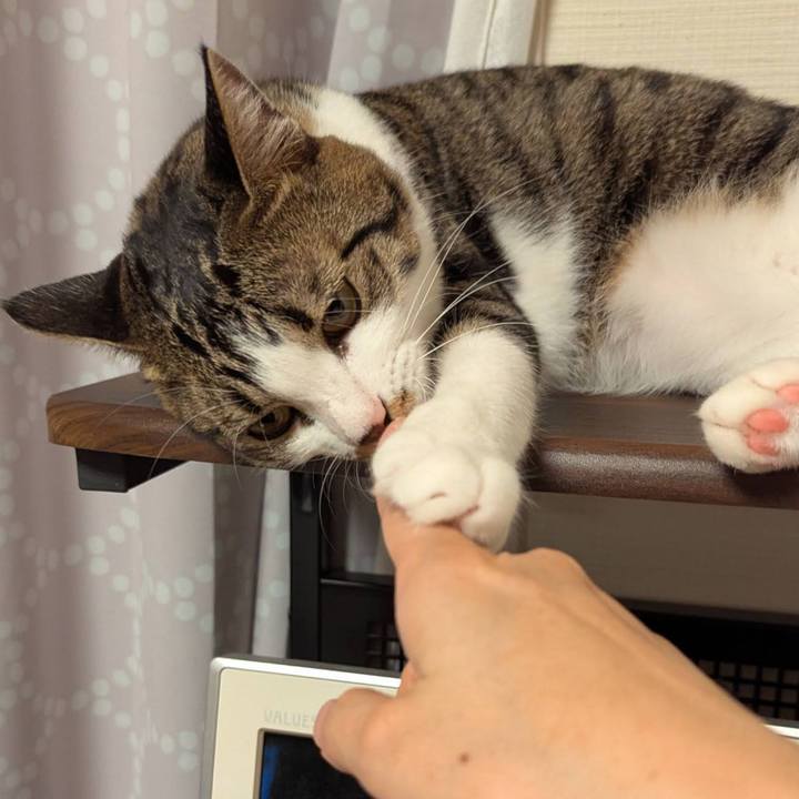 794c0e57 992c 487d a3e4 fd71fd6b2def 1759818457498