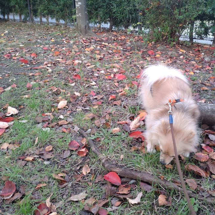 794c1ff7 d51a 42f6 a994 297b62e97d61 1762493838234