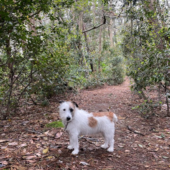 794c3e72 4c89 40cb 9ba3 405a094e7b4d 1618785776271