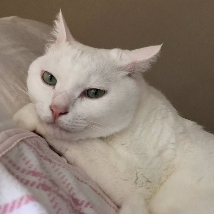 794c7c8c 3e58 48cf 8bc5 4c4ade9fa5c7 1536803172997