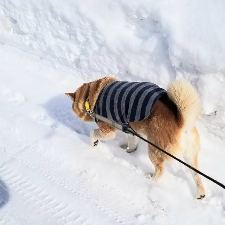 794c85af bffb 44c1 abaa a4c83b5d7d74 1675139717299