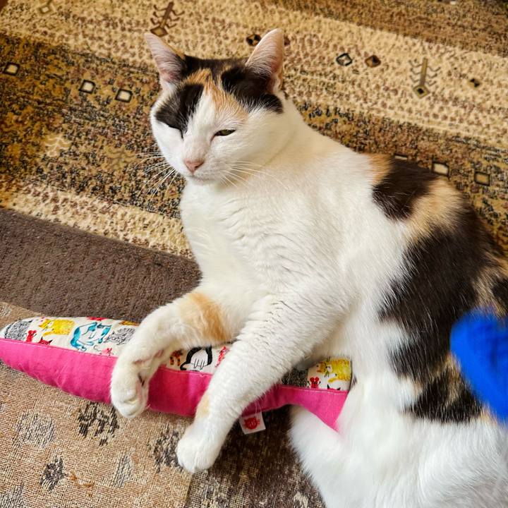 794c90d8 f5a9 4e4f 8f9c 2bae02721457 1687482864979