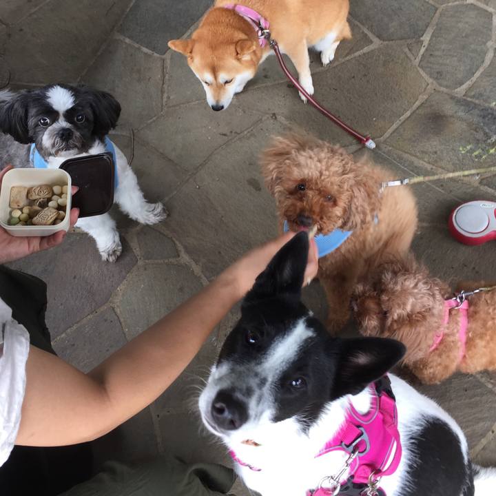 794ca87c e6a2 44f1 9133 884992dfd4da 1507809798123