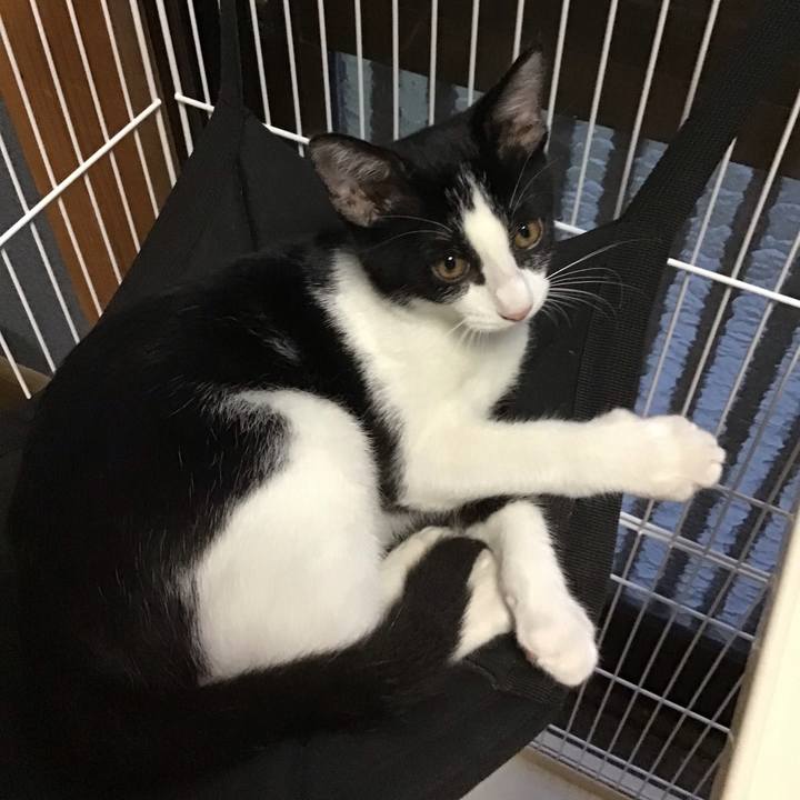 794cb9ab b83d 4ee0 888c 86aa0d9f2e63 1628420633307