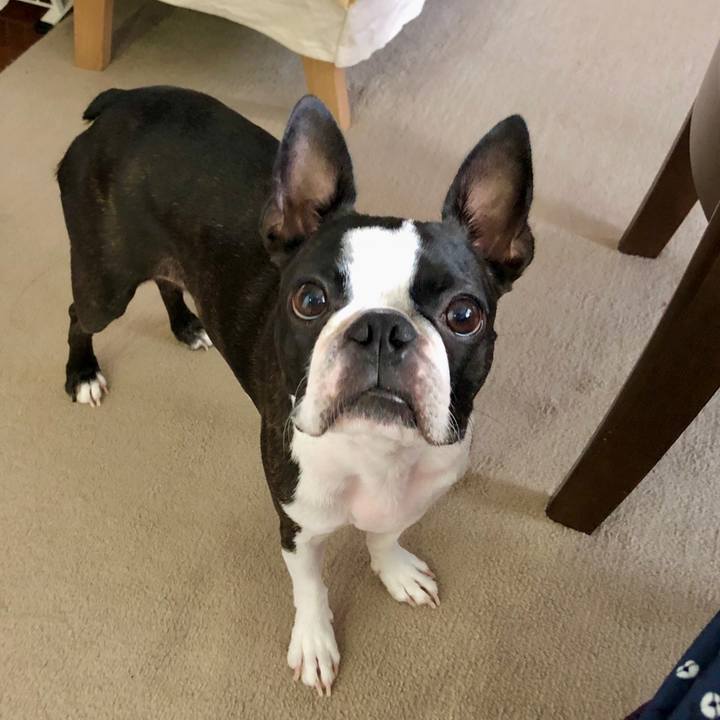 794cc44b 0908 415f 9a5a d1c569b25e51 1633005146186