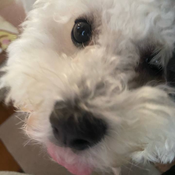 794ccb91 bfb2 4973 a40a ba1ab5febe4c 1774253477632