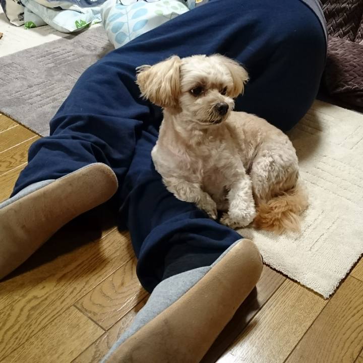 794cfc10 001c 47e2 bf0d 44374db62da7 1604670455748