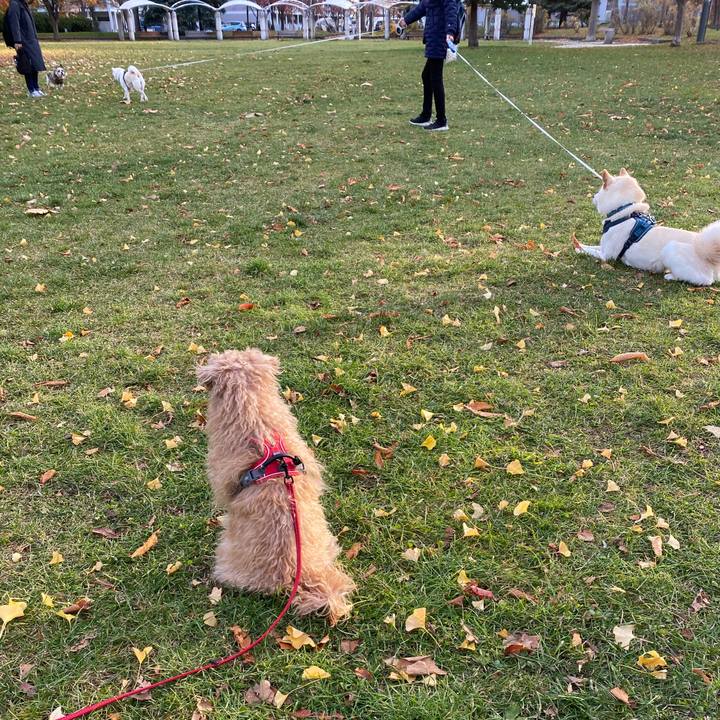 794d0248 de00 42ad be17 8df086d2d439 1668120961988