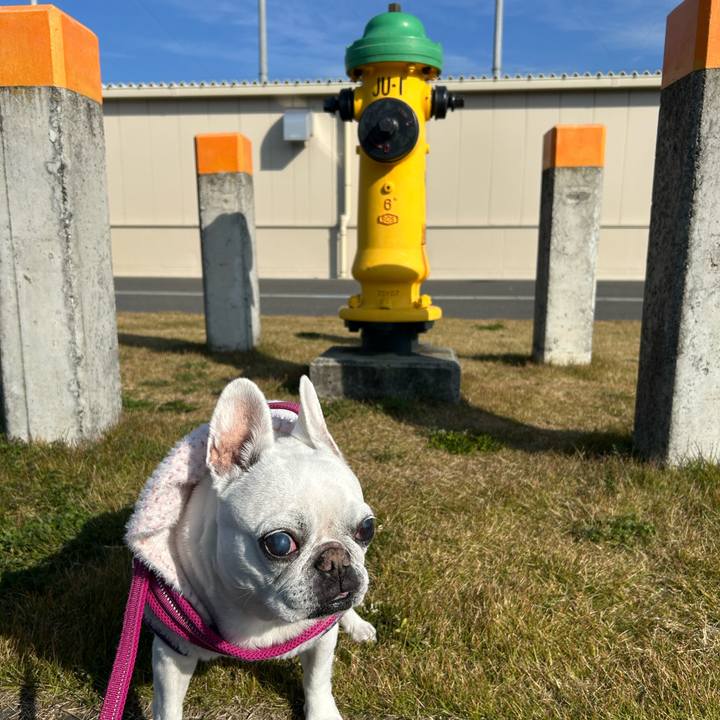 794d0b8b f1dc 4429 a172 b2111d2abc55 1733486612868