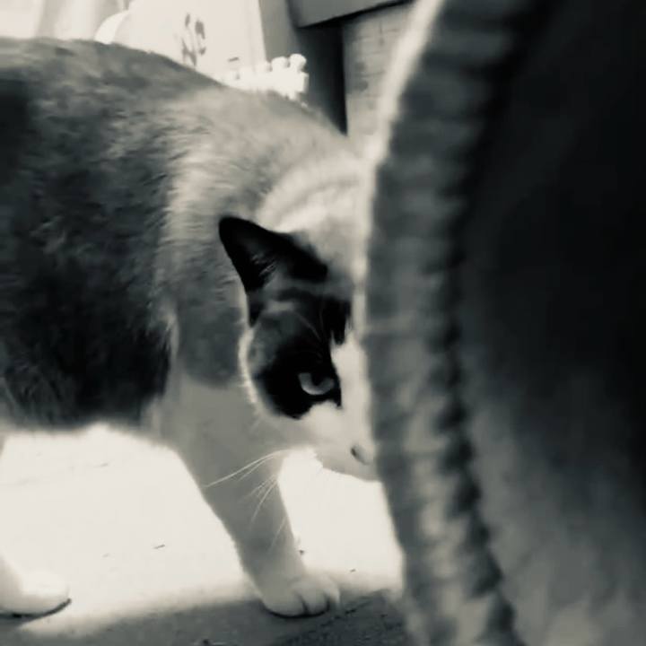 794d24c1 ee31 456f 9747 ac763b49dd1d 1773888496167