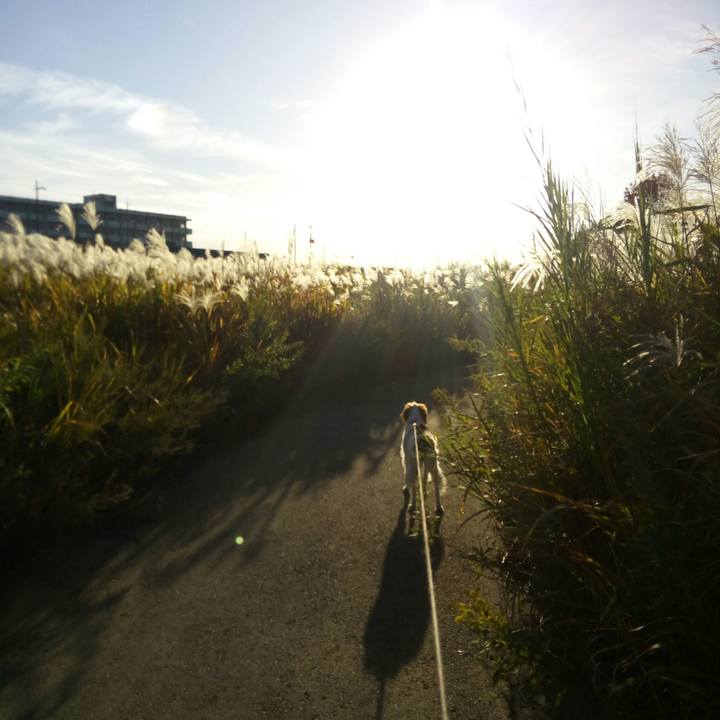 794d2bd4 5b17 4ec8 a6ac ec4e9a40701f 1510576748432