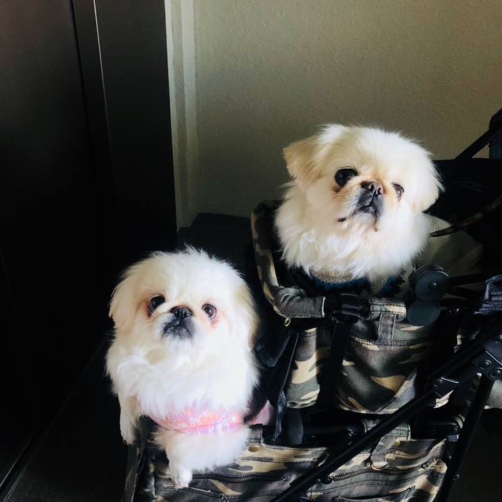 794d465b bed7 4464 b4d0 62fa56ef0a4d 1549068198300