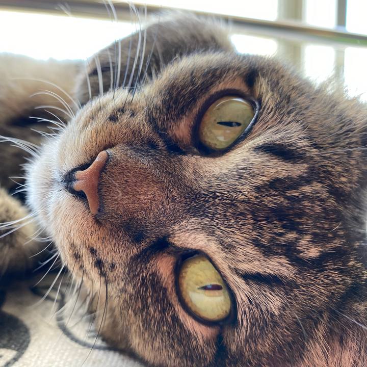 794d6e3b 3202 46ed b6bf 8bba84301198 1597461789764