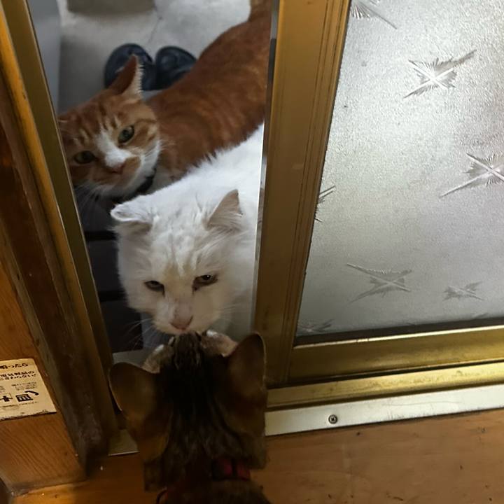 794d9b2a 592b 4100 9fe3 ed94510858cb 1771149628955